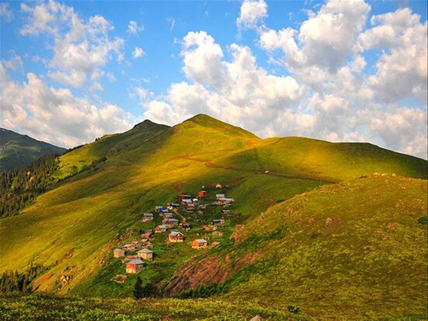 Pokut Yaylası Çevresinde