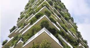 İç Mimar Ve Çevre Tasarımı Ne İş Yapar